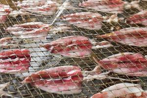 squid drying on net photo