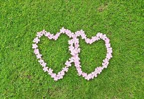 Pink flower love heart photo