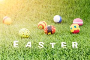 Bunny toys and Easter eggs with text photo