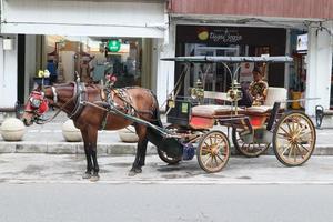 Horse-drawn carriage parks on the side road photo