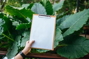 hands holding a clipboard with blank white paper photo