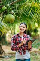 Portrait of Happy Asian young  farmer woman check quality of coconut in farm and using tablet computer to take orders online for customers. Agricultural and technology concepts. photo