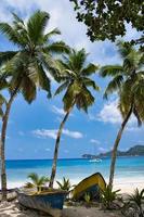 Coco plam arboles y barcos cerca el playa de takamaka, mahe seychelles foto