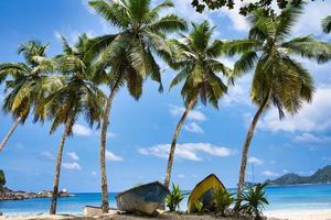 Coconut plam trees and boats near the beach of takamaka, Mahe Seychelles photo