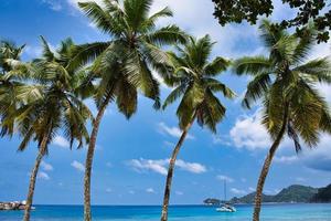 Coco plam arboles y barcos cerca el playa de takamaka, mahe seychelles foto