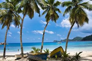 Coco plam arboles y barcos cerca el playa de takamaka, mahe seychelles foto