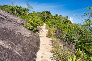 Anse major nature trail rocks, footpath and plants, Mahe Seychelles photo