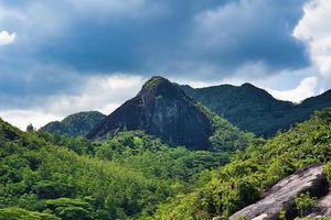 anse mayor naturaleza sendero enorme granito rock dentro el bosque, mahe seychelles foto