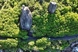 Beautiful road the the cliff, huge granite rocks, lush vegetation photo