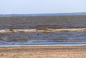 summer landscape on the banks of the river in the city of federation province of entre rios argentina photo