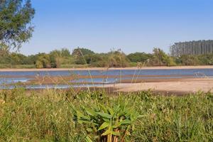 summer landscape on the banks of the river in the city of federation province of entre rios argentina photo