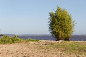 summer landscape on the banks of the river in the city of federation province of entre rios argentina photo