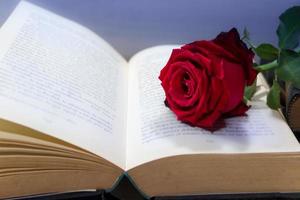 romántico rojo Rosa en el abierto libro foto