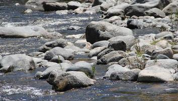 mountain stream and stones in summer photo
