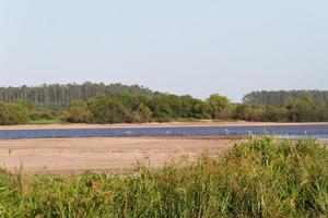 summer landscape on the banks of the river in the city of federation province of entre rios argentina photo