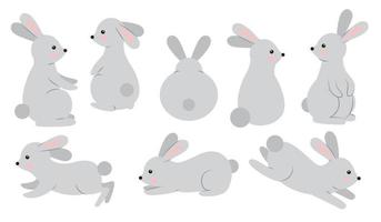 Set of rabbits in different poses vector