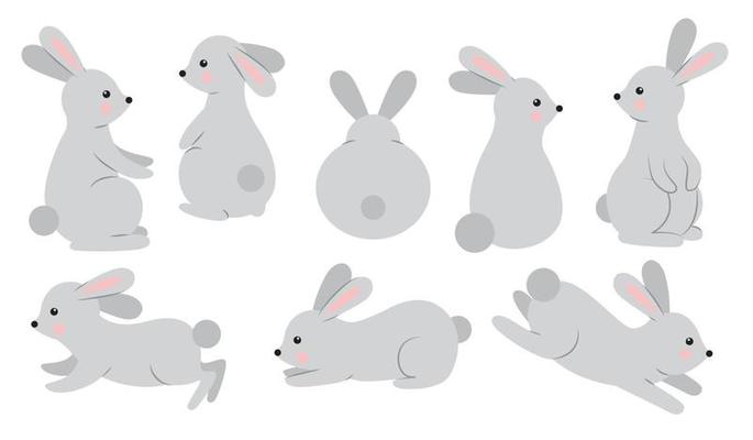 Set of rabbits in different poses