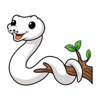 Cute white leucistic ball python snake cartoon on tree branch vector