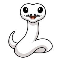 Cute white leucistic ball python snake cartoon vector