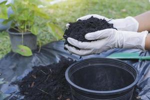 Close-up of a black flowerpot and woman's hands with white gloves preparing the soil for planting flowers into a pot. Planting flowers in the garden home. Gardening at summer photo