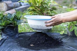 Preparation of soil mixture from fertile compost, humus and vermiculite on  black garbage bag floor in garden. Mixing the soil components for the preparation of the substrate for transplanting plants. photo