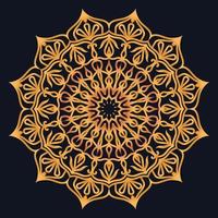 Decorative elements luxury ornament pattern gradient mandala design vector
