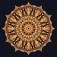 Decorative elements luxury ornament pattern gradient mandala design vector