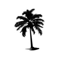 Black Palm Silhouette. Vector Illustration