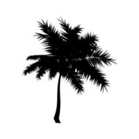 Black Palm Silhouette. Vector Illustration