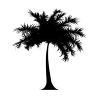 Black Palm Silhouette. Vector Illustration