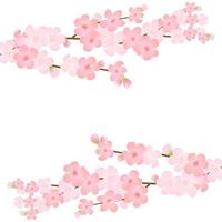 Vector illustration of bloom branch with pink flowers, buds, petals flying. Realistic design isolated transparent background. Blooming tree twigs set, blossom collection.