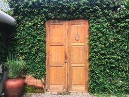 Wooden Door and insulated with vines around them photo