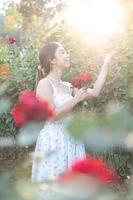 Young Asian woman wearing a white dress poses with a rose in rose garden photo