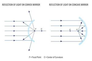 Reflection of light on concave mirror and Convex mirror vector