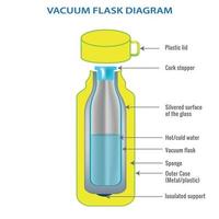 vacuum flask or Thermo flask  diagram vector image