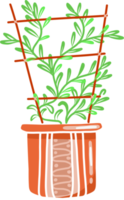 Weberei Pflanze im ein Topf. Blume Topf braun mit ein Pflanze und ein Gitter zu kriechen png