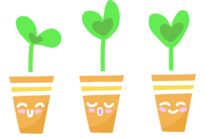 home gardening. seed germination. sprouts in a cup.semidol leaves. png