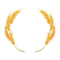 Wreath from spikelet, golden color wheat round frame in cartoon style isolated on white background vector