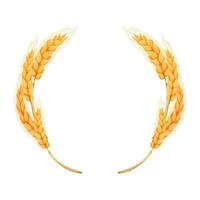 Wreath from spikelet, golden color wheat round frame in cartoon style isolated on white background vector