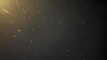 fallen Nieder echt Schneeflocken, Schnee Stürze langsam im Nacht Winter, schön Winter Nacht fallen realistisch Schneeflocken von oben zu Unterseite, Ruhe Schnee, Schuss auf schwarz Hintergrund mit ein Gelb Fackel Wirkung. video