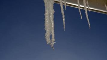 Spring drops falls down from long crystal melting icicles hanging down before clear blue sky on bright sunny thaw day. The concept of the beginning of spring, the end of winter, thaw. photo