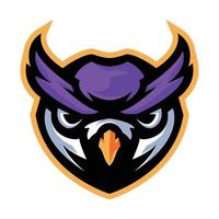 Sporty Owl Mascot Logo for Sports Teams and Brands vector
