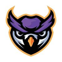 Sporty Owl Mascot Logo for Sports Teams and Brands vector