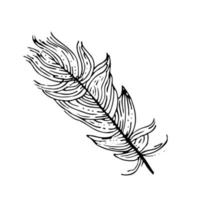 Hand drawn feathers. Vector doodle illustration. Isolated on white background