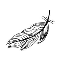 Hand drawn feathers. Vector doodle illustration. Isolated on white background