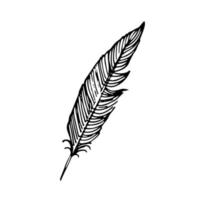 Hand drawn feathers. Vector doodle illustration. Isolated on white background