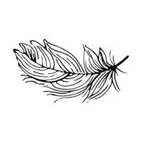 Hand drawn feathers. Vector doodle illustration. Isolated on white background