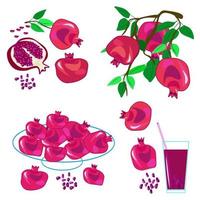 Fresh tropical fruits.A variety of fresh fruits and juices. Vector illustration of the vegetarian menu.