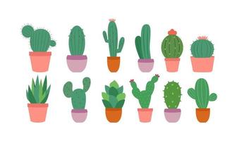 Cactus Plant Illustration Vector Set. Home plants cactus in pots and with flowers