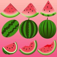 Watermelons icon set. Vector illustration of watermelon for fruit and food design. Graphic resource of slice watermelon for vegetarian, healthy, diet, nutrition and tropical. Summer fruit for healthy